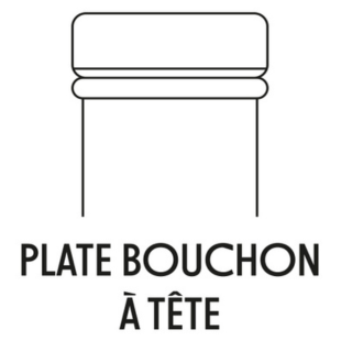Schéma de la bague plate, conçue pour un bouchon à tête.