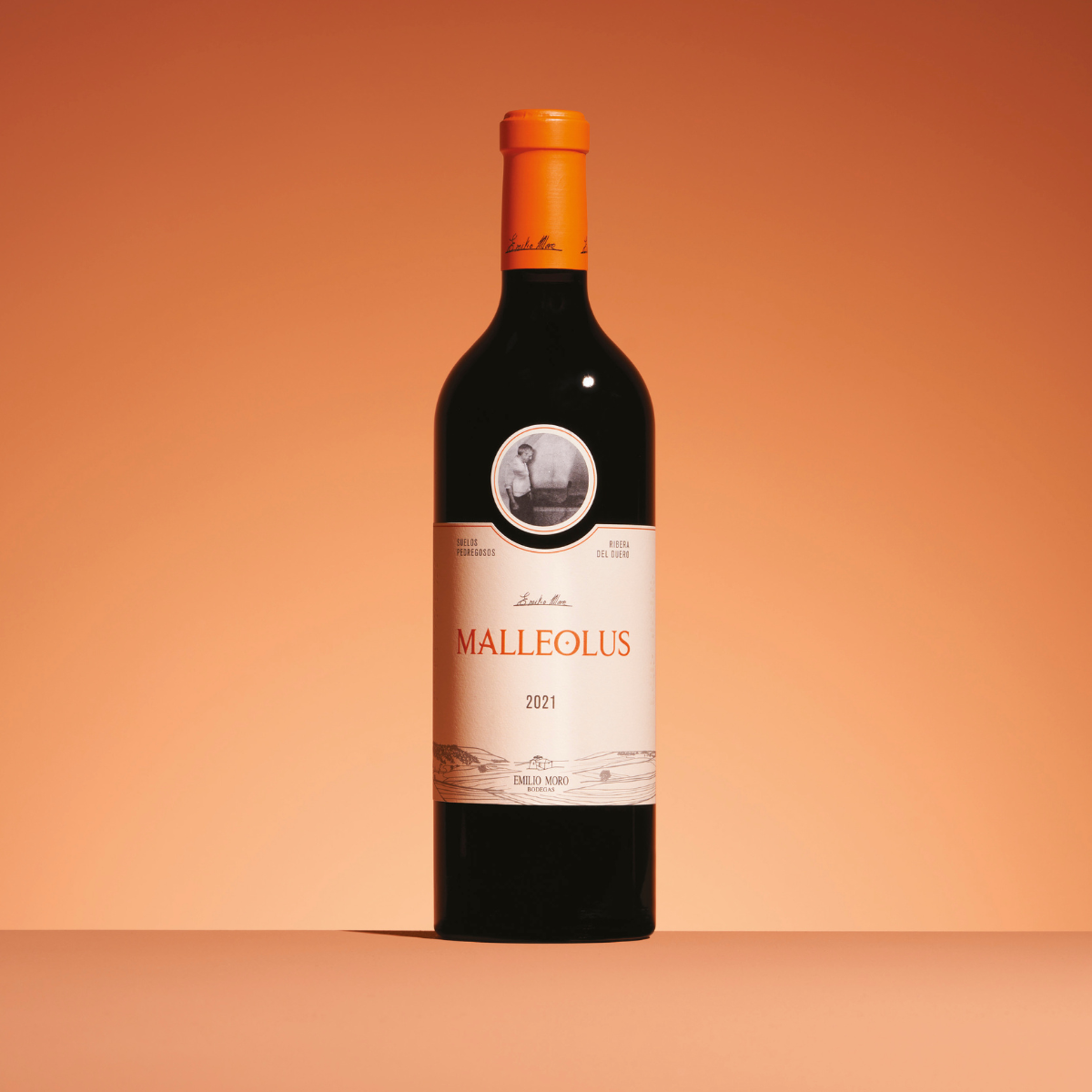 Réalisation_Malleolus