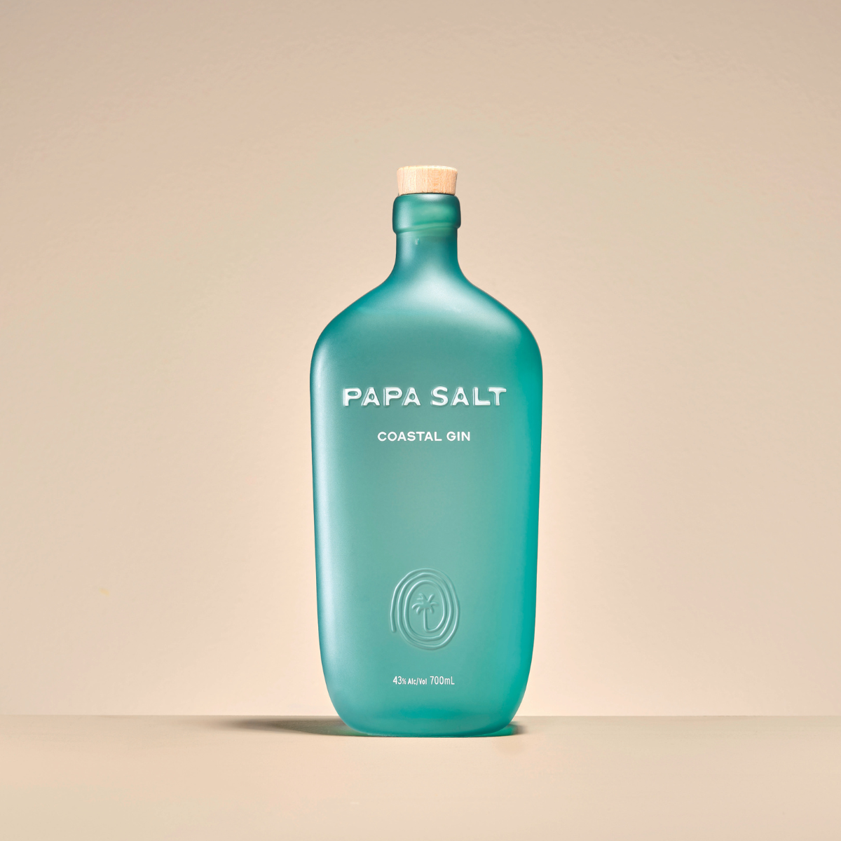 Réalisation_Papa_Salt