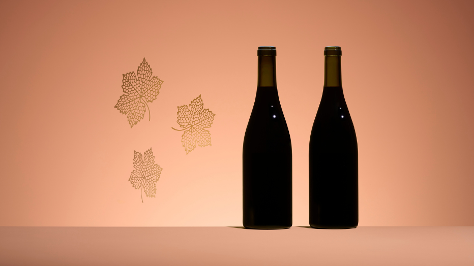 Two dark wine bottles with long necks and dark foil seals stand on a warm, muted terracotta surface against a seamless background. Placed side-by-side, they are set against a soft, monochromatic peach-pink backdrop. To their left, three faint, lighter-toned stenciled leaf motifs, resembling grape leaves, are subtly integrated into the wall. The lighting is soft and even, avoiding harsh shadows or reflections to maintain a clean, elegant, and minimalist aesthetic focused on the bottles.