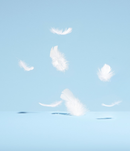Plusieurs plumes blanches légères tombent ou flottent doucement sur un fond bleu pastel, symbolisant la légèreté et la pureté.