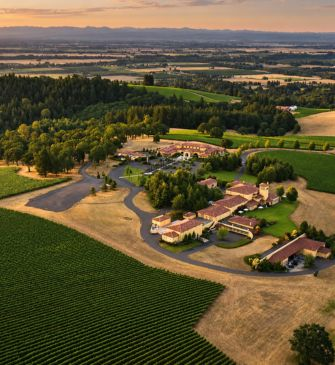 Aerial view of a sprawling winery estate surrounded by meticulously planted vineyards, with buildings, roads, and distant hills under a warm, golden sky, depicting a premium wine region.